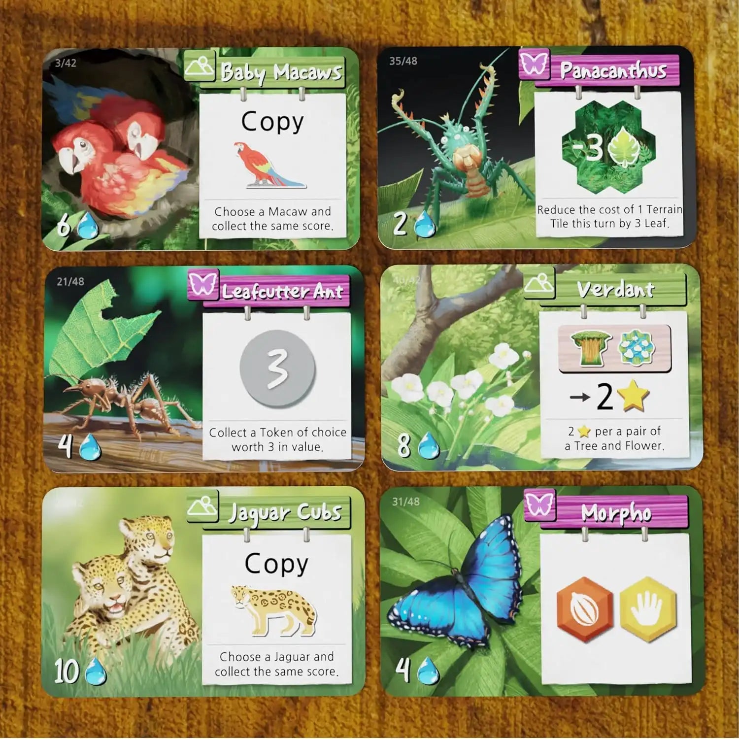 Life of the Amazonia (ingilizce)