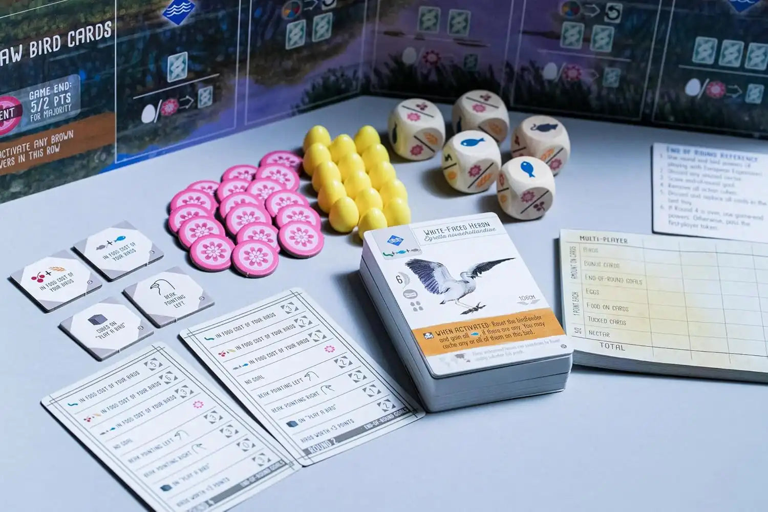 Wingspan Oceania Expansion (İngilizce)