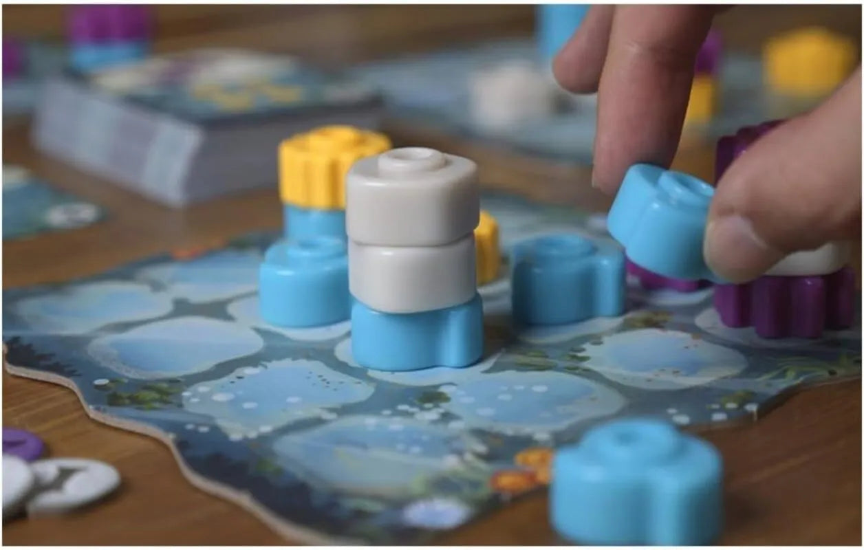 Reef 2.0 (İngilizce / Dil Bağımsız)