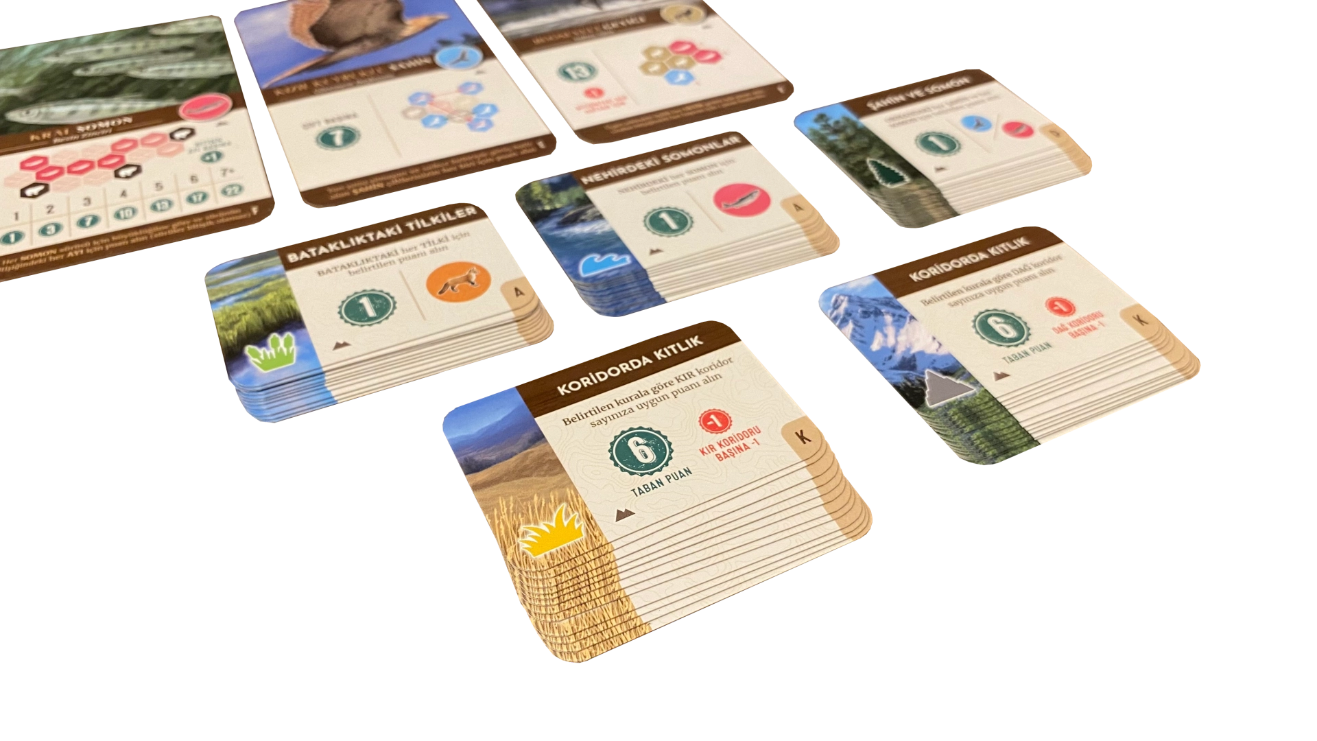 Cascadia Doğa Harikaları