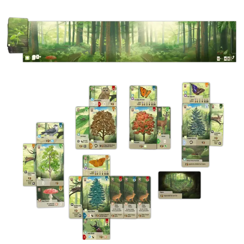 Forest Shuffle (Türkçe)