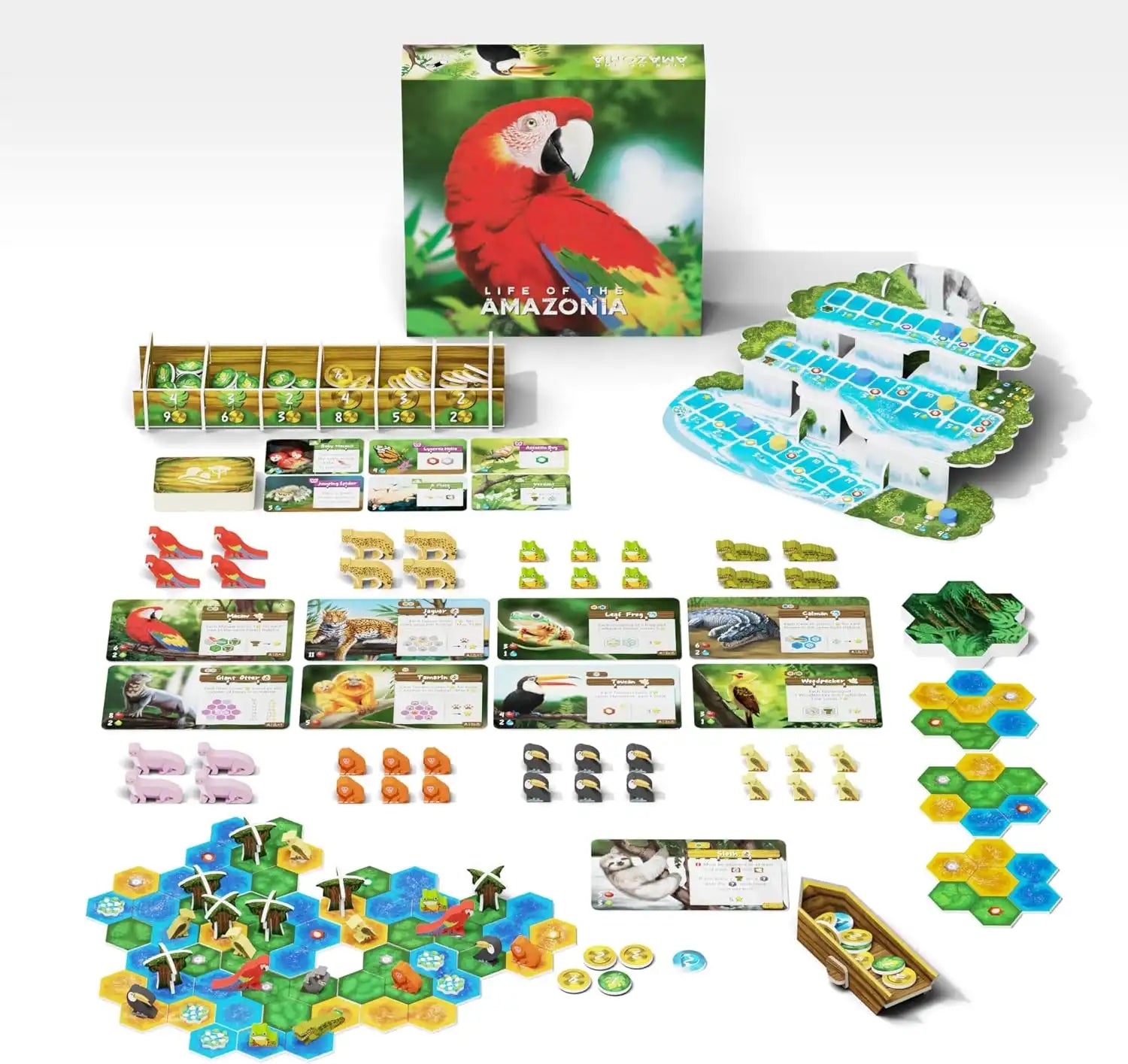 Life of the Amazonia (ingilizce)