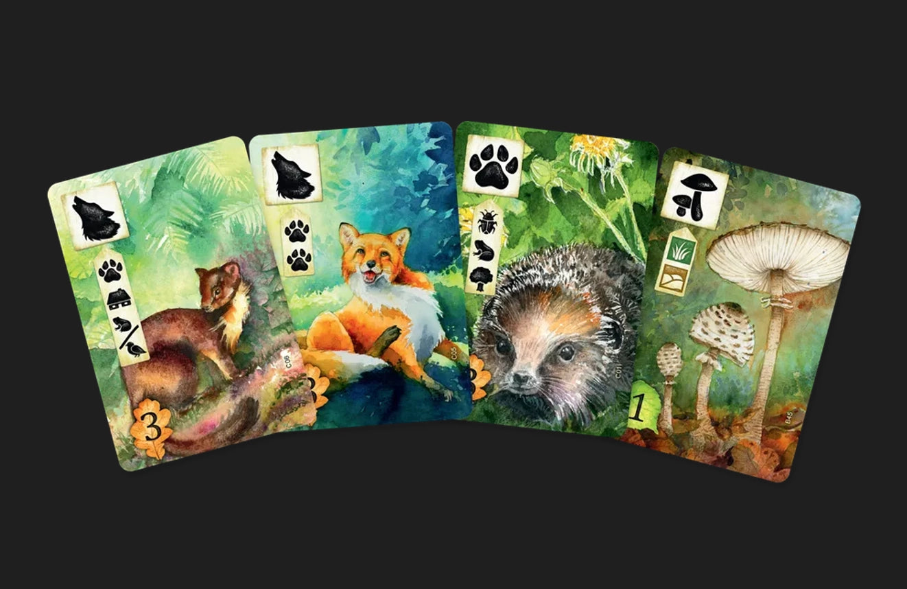 Meadow (İngilizce / Dil Bağımsız)