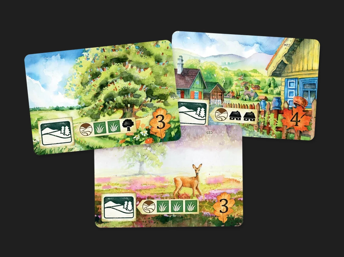 Meadow (İngilizce / Dil Bağımsız)